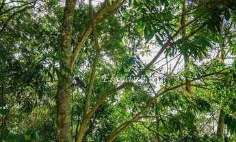 Imagem 6: Casa com 4 dormitórios à venda, 319 m² por R$ 2.950.000,00 - Alpes da Cantareira - Mairipo