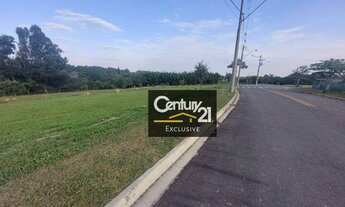 Imagem 3: Terreno com excelente topografia com vista para a mata!