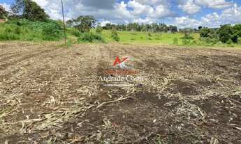 Imagem 7: Chácara #019 Em Piracema