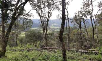Imagem 4: Urubici - Terreno