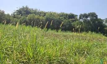 Imagem 4: Ótimo Lote de Terreno