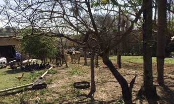 Imagem 5: SITIO ARTUR NOGUEIRA