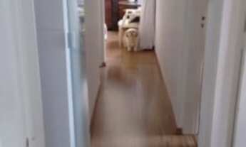 Imagem 4: Apartamento Lindo pronto para morar