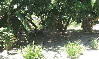 Imagem 7: Terreno à venda, 3425 m² por R$ 2.500.000,00 - Porto da Roça I - Saquarema/RJ