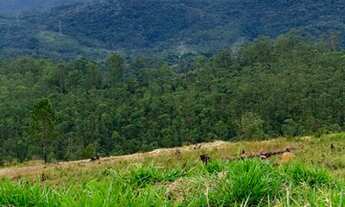 Imagem 3: Lote/Terreno para venda tem 1000 metros quadrados com 1 quarto em Rio Acima - Mairiporã