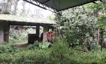 Imagem 6: Chácara com 2 dormitórios à venda, 1380 m² por R$ 560.000,00 - Corcovado - Ubatuba/SP