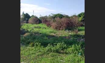 Imagem 7: Lote/Terreno para venda tem 15000 metros quadrados em Unamar (Tamoios) - Cabo Frio - RJ