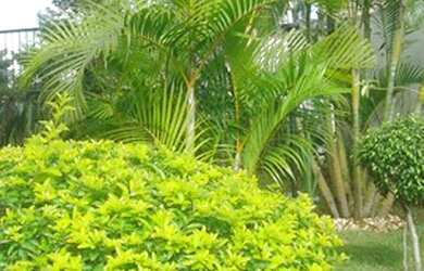 Imagem 7: Apartamento Vila Augusta - Com sacada - 2 dor, sala, cozinha e banheiro 1 vaga - Aceita Fi