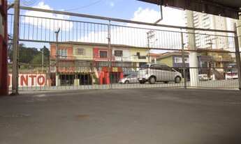 Imagem 5: SãO PAULO - Terreno Padrão - Vila Sônia