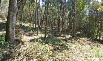 Imagem 3: Terreno à venda, 1940 m² por R$ 280.000,00 - Nova Capivari - Campos do Jordão/SP