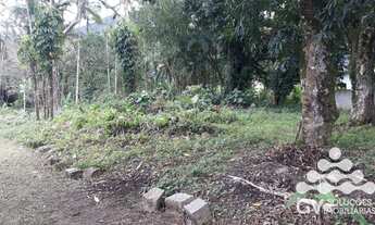 Imagem 5: Área à venda, 7230 m² por R$ 950.000,00 - Sertao da Quina - Ubatuba/SP