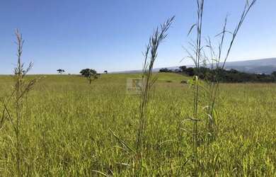 Imagem 3: Sítio / Chácara para Venda em Abadiânia / GO - 2331024