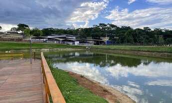 Imagem 2: 19 alqueires - silvania