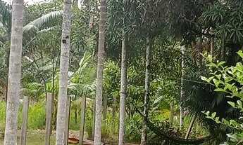 Imagem 3: Sítio Chácara com venda por R$150.000