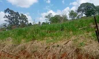 Imagem 6: Sitio em cajuru 5 alqueires 900.000.00 ( j