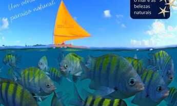 Imagem 2: Apartamento para venda tem 21 metros VISTA MAR em Porto de Galinhas - Ipojuca - PE