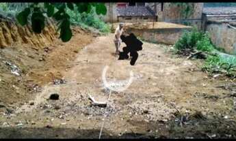 Imagem 5: Vendo ou troco um terreno