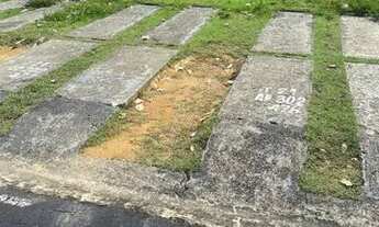 Imagem 5: Apartamento para venda tem 70 metros quadrados com 2 quartos em Colônia Terra Nova - Manau