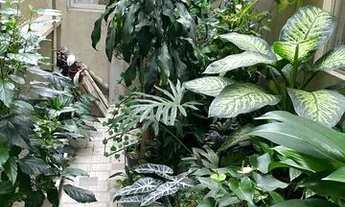 Imagem 5: Apartamento com 3 dormitórios+ terraço no centro - Balneário Camboriú - SC