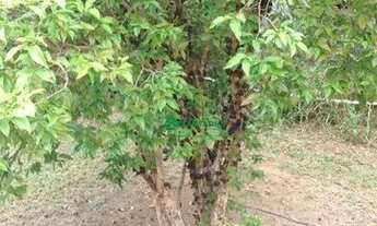 Imagem 5: Casa com 6 dormitórios à venda, 330 m² por R$ 2.200.000,00 - Condados da Lagoa - Lagoa San