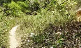 Imagem 2: Terreno em ilha de Mare 80 m2 a 100 metros da praia