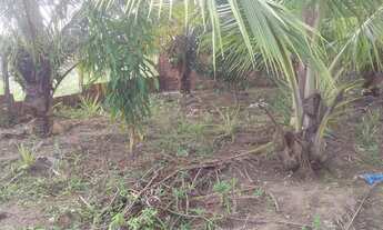 Imagem 6: Valor do terreno 50 mil