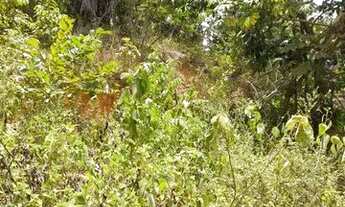 Imagem 4: Terreno em ilha de Mare 80 m2 a 100 metros da praia