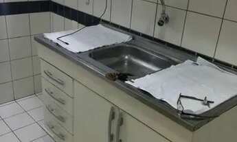 Imagem 15: Apartamento 1/4 Sala na melhor localização do Itaigara