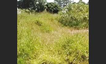 Imagem 4: Sitio em cajuru 2 alqueires 500.000.00 ( ja