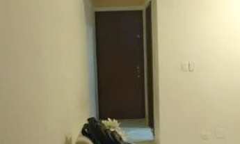 Imagem 4: APARTAMENTO - JARDIM ANTON VON ZUBEN - SP