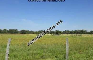 Imagem 2: Fazenda De 10.700 Hectares No Pantanal Da Nhecolandia