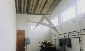 Imagem 3: Galpão - Macuco - Valinhos