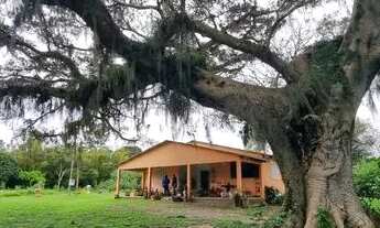 Imagem: Velleda oferece sítio 10 ha a 600 metros