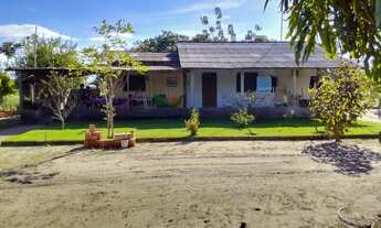 Imagem 2: Lindo Sítio Região do Bom Intento com fundo para o Rio Branco