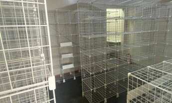 Imagem 1: Loja para alugar, 51 m² por R$ 3.200/mês - Centro Cívico - Curitiba/PR