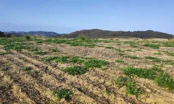 Imagem: Lote/Terreno para venda possui 500 metros