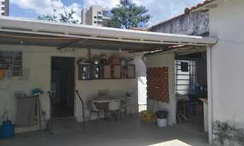 Imagem 7: Casa - Cambuí - Campinas