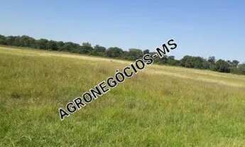 Imagem 5: Fazenda De 10.700 Hectares No Pantanal Da Nhecolandia