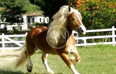 Imagem 2: Terreno em Vargem Grande - Rio de Janeiro