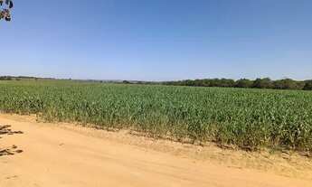 Imagem 2: Fazenda em ARAGOIÂNIA 10 Alqueires plantado lavoura!!