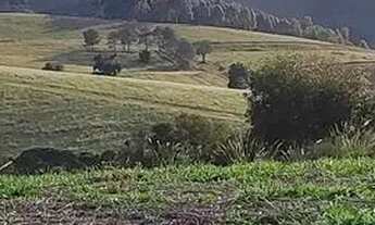 Imagem 7: Lote/Terreno para venda possui 500 metros quadrados