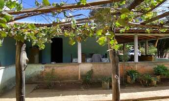 Imagem 3: Chácara de 10.000 metros em Piripiri