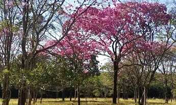 Imagem 2: Fazenda próximo Uberlândia