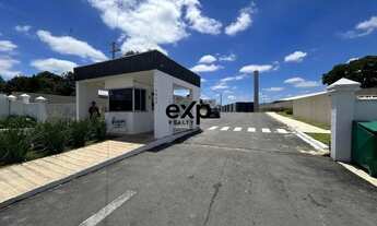 Imagem 2: Apartamento em Condomínio Club à Venda ou Locação em Campo Largo - Localização Privilegiad