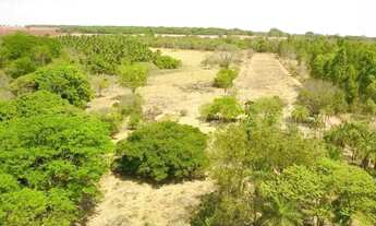 Imagem 6: Chácara de 27.500 m² em Bela Vista de Goiás