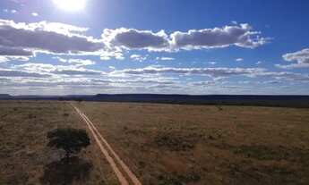 Imagem 5: FAZENDA TODA PLANA EM MAMBAÍ (GO) ? 950 ALQUEIRES