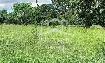 Imagem 4: VENDO EXCELENTE FAZENDA DE 490 HA COM TERRA VERMELHA E RIO NA REGIÃO DE FELIXLÂNDIA MG!!!!