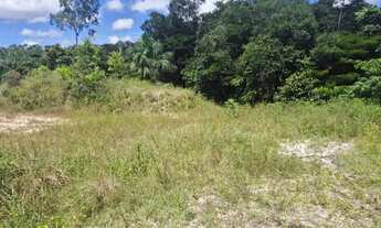 Imagem 3: Vende-se um terreno com 1.840 m2 no Rio Preto da Eva