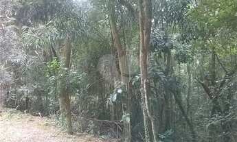 Imagem 4: Terreno à venda em Roseira - SP