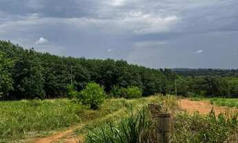 Imagem: 8 alqueires em Jales SOMENTE 4 KM DA CIDADE!